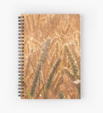 Golden Wheat - Wheatfields Spiral Notebook