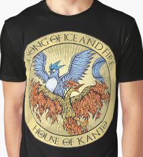 Song of Ice and Fire Graphic T-Shirt
