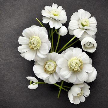 Artwork thumbnail, Stillness Gifts White Anemone Flowers by stillnessgifts