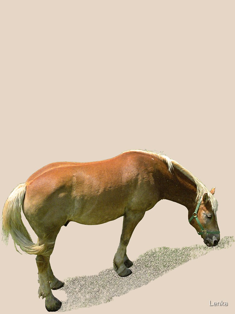 Horse from Kristberg (T-Shirt & iPhone case) by Lenka