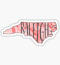 Raleigh Sticker
