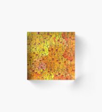 A million happy faces with Bob Shane - Monsthree Acrylic Block