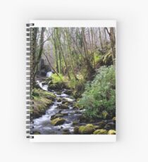 Downhill Forest Spiral Notebook