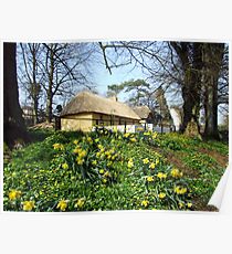 Bunratty cottage view Poster