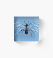 Weird Abstract Flying Ant Acrylic Block