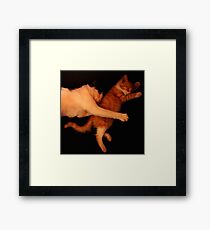 ADoption Framed Print