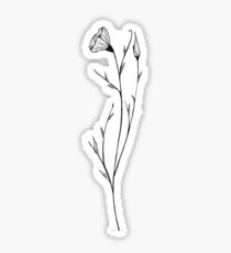 Mohn-Skizze Sticker