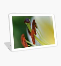 Ripe Laptop Skin