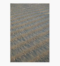 Beach Ridges Photographic Print