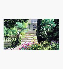 Nice day Photographic Print