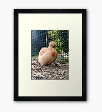 Precious Framed Print