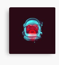 Space Monkey Canvas Print