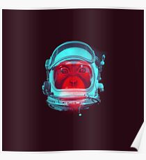 Space Monkey Poster
