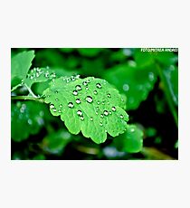 Water Photographic Print