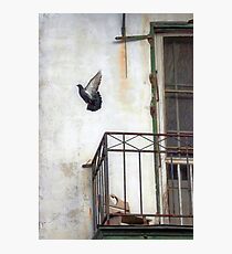 Freedom Photographic Print