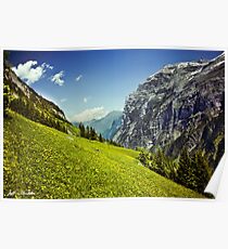 Lauterbrunnental in voller Blüte Poster