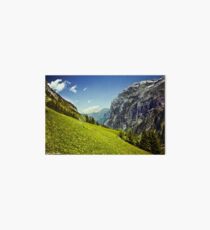 Lauterbrunnen Valley in Bloom Art Board