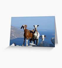 Happy Goats Greeting Card