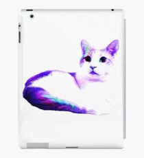 Colorful Voldemort iPad Case/Skin