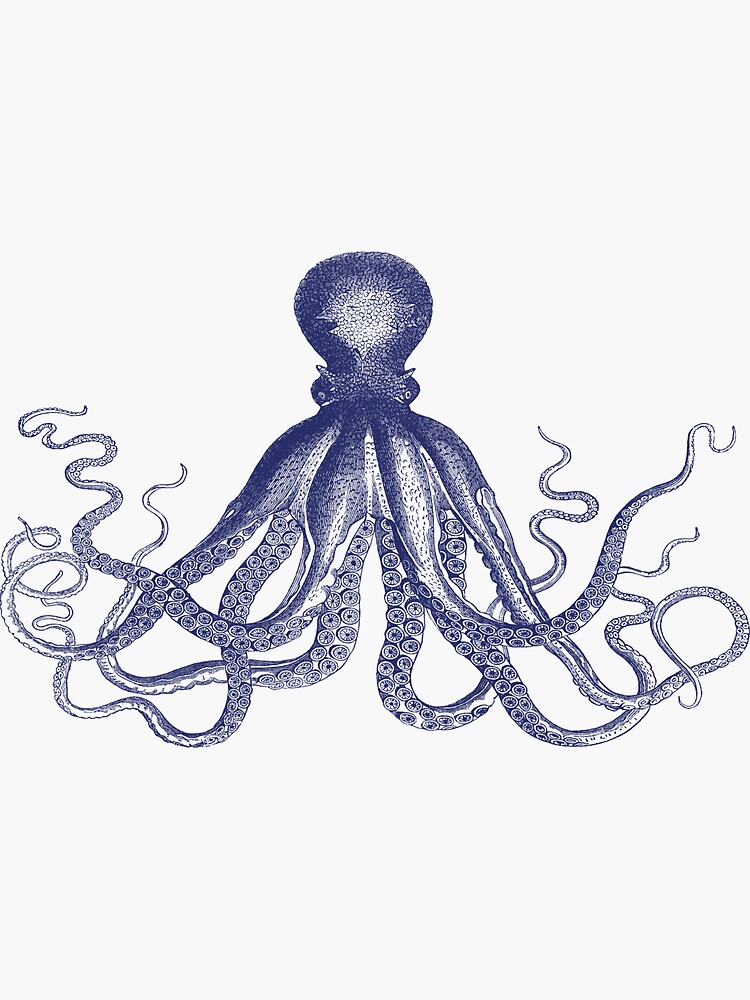 Krake | Weinlese-Krake | Tentakeln | Meeresbewohner | Nautik | Ozean | Meer | Strand | Marineblau und Weiß | von EclecticAtHeART