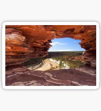 Peaking Through Natures Window Sticker