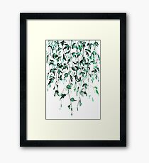 Ivy on the wall Framed Print