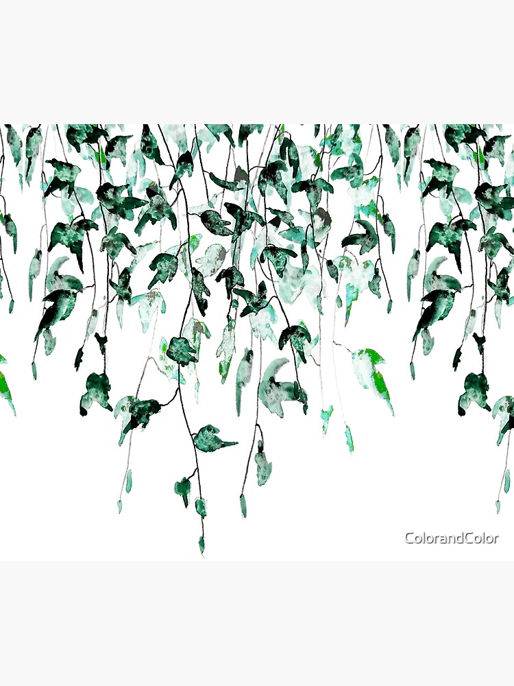 Ivy on the wall by ColorandColor