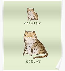 Ocelittle Ocelot Poster
