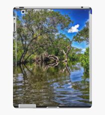 Salt springs iPad Case/Skin