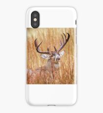 Texas White Tail iPhone Case/Skin