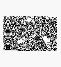 Black and White Sketch Bird Photographic Print
