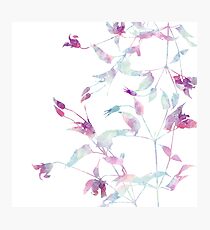 Fairyland Photographic Print