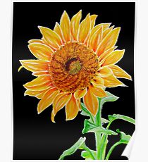Sunflower Poster