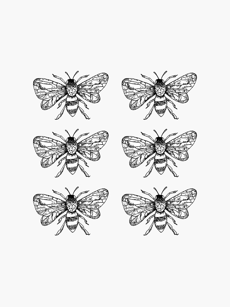 Honey Bee Sticker Pack of 6 by 11BennettTem
