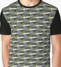 Request for a different photograph of a River. Graphic T-Shirt