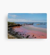 the day the red algae came to the bay Canvas Print