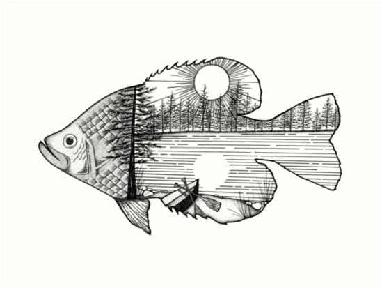 Crappie Fish Illustration Art Prints By Sarah Lumley Redbubble