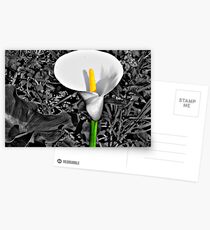 Colour me Yellow Postcards