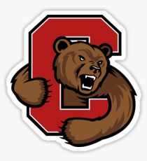 Cornell! Sticker