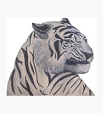 White Tiger Photographic Print