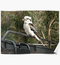 Australian Icon Poster