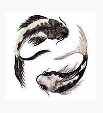 Yin Yang Koi Photographic Print