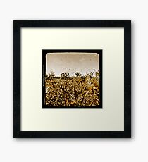 Wild Fields Framed Print