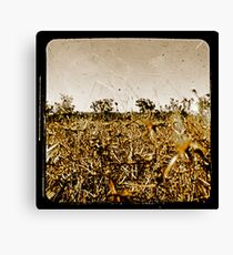 Wild Fields Canvas Print