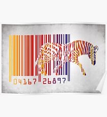 zebra Poster