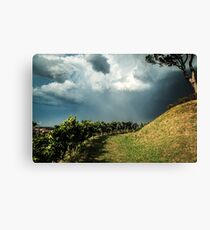 Storm over the vineyard Canvas Print