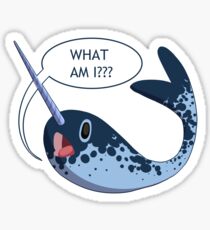 Existential Narwal Sticker