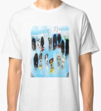 waterfalls Classic T-Shirt