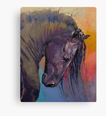 Friesian Horse Canvas Print