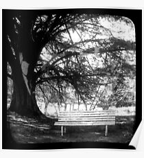 Park Bench - TTV Poster